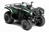 2010 Yamaha Grizzly 125 Automatic photo